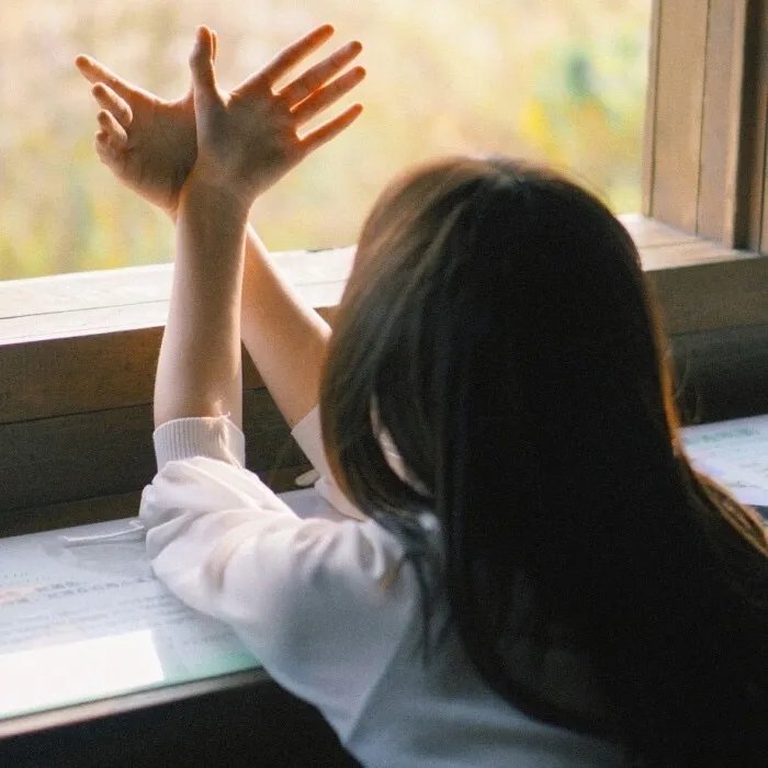 积木くずし真相 ～哀しい家族の最终章～